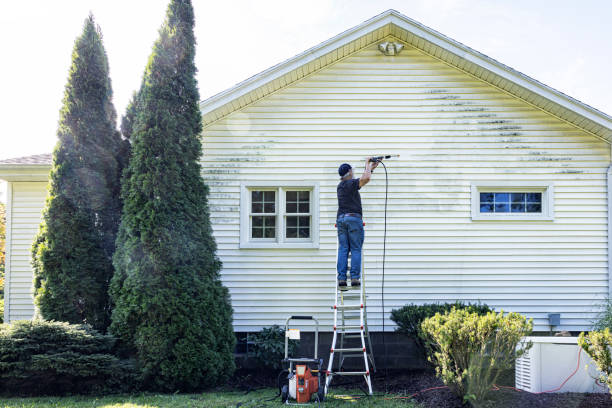 Best Building Exterior Washing  in USA